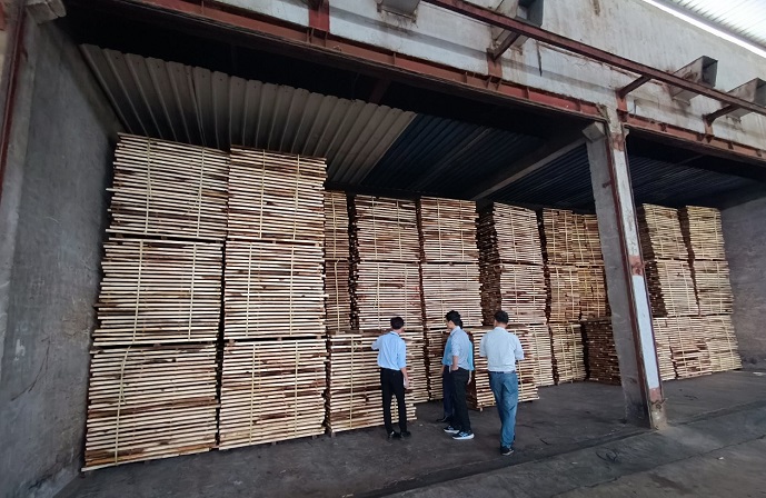 Các chuyên gia làm việc với nhà máy sản xuất gỗ ván sợi MDF tại Nghệ An